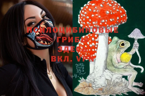 марки lsd Горно-Алтайск