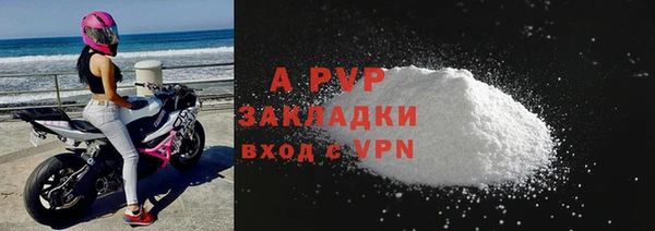 прущие грибы Гусев