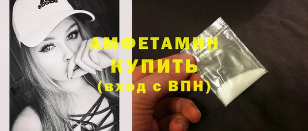 прущие грибы Гусев