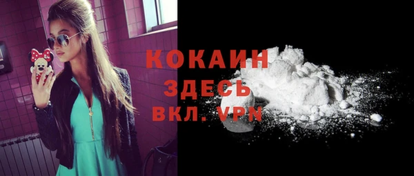 шишки Горнозаводск