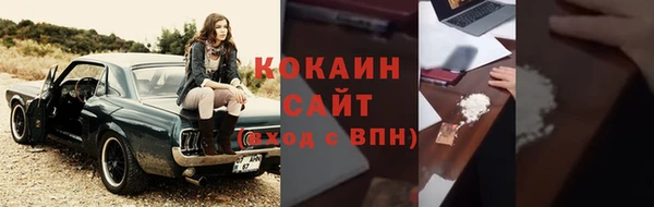 прущие грибы Гусев