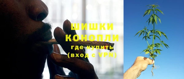 шишки Горнозаводск