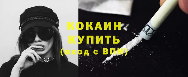 стаф Гусь-Хрустальный