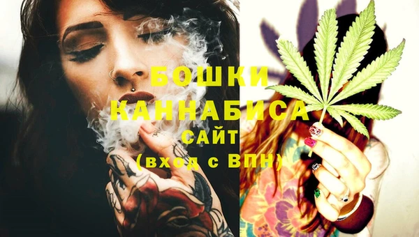 шишки Горнозаводск