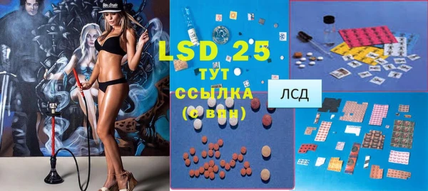 шишки Горнозаводск