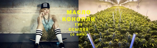 стаф Гусь-Хрустальный
