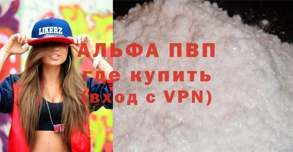 стаф Гусь-Хрустальный