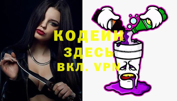 прущие грибы Гусев
