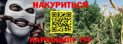 гидропоника Гусев