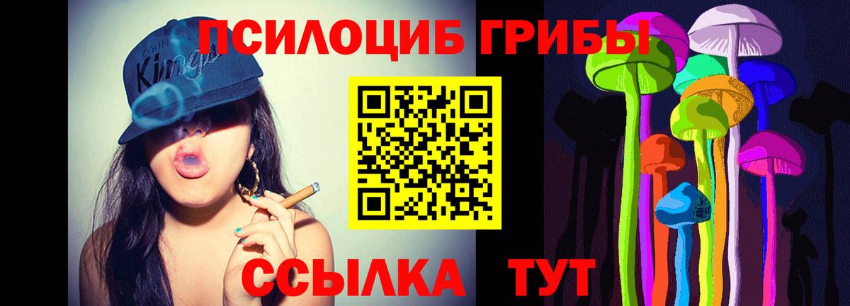  Cocaine Дедовск